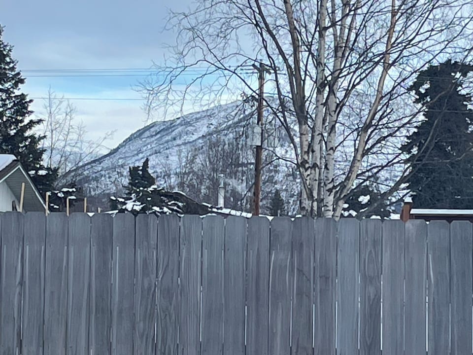 Chugach Mountain view from room 1