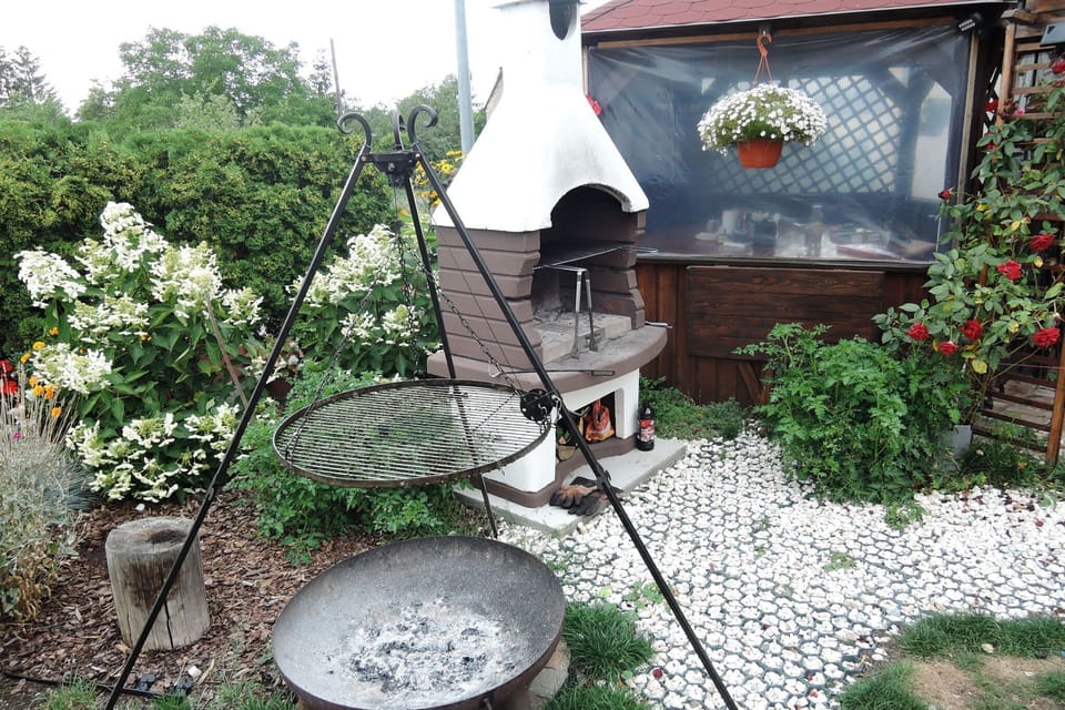 Garden [summer]