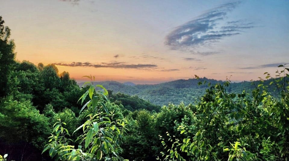 View from the deck 