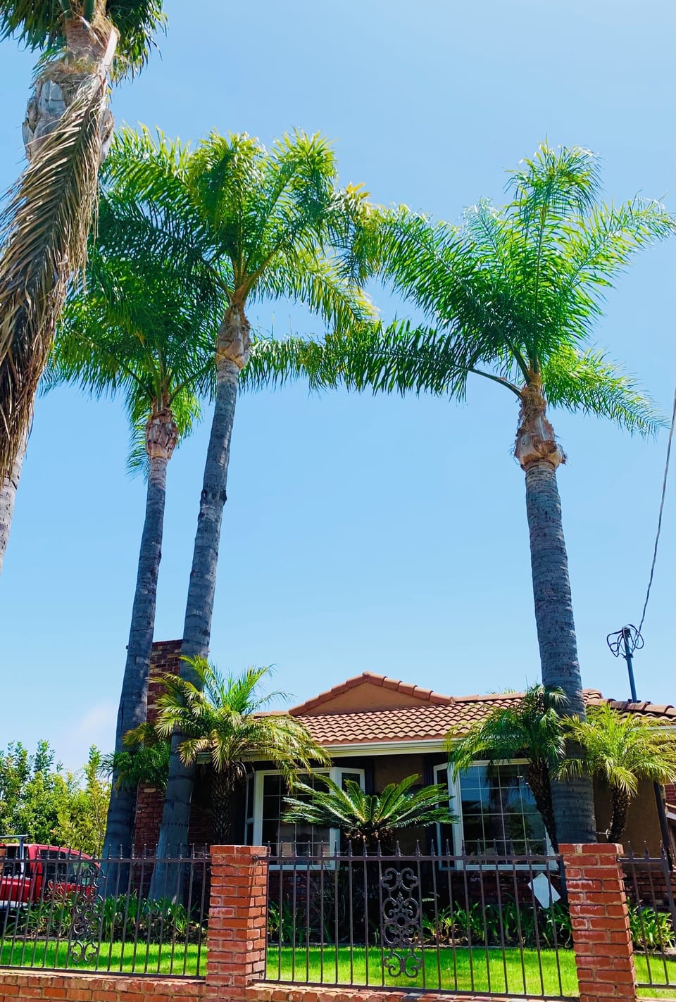 The sound of palm leaves puts us to sleep at night