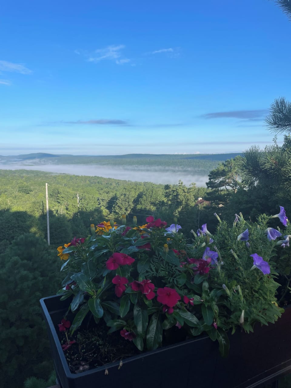 View from property