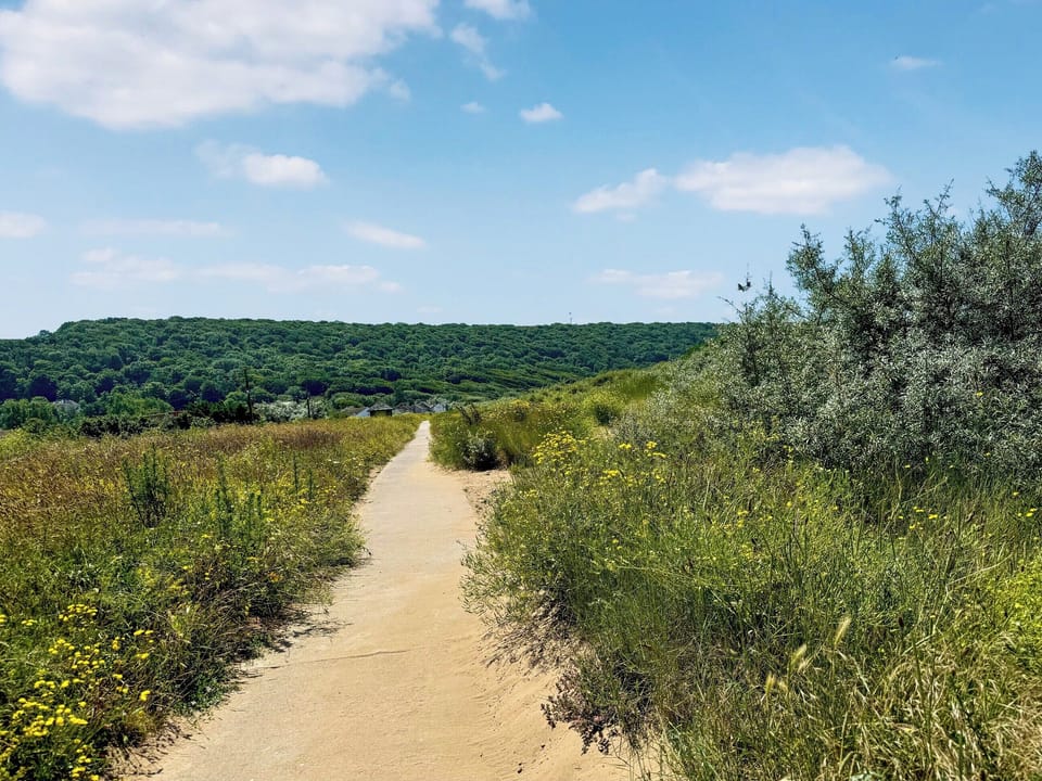 Surrounding area | Brookwood, Kewstoke, near Weston-Super-Mare