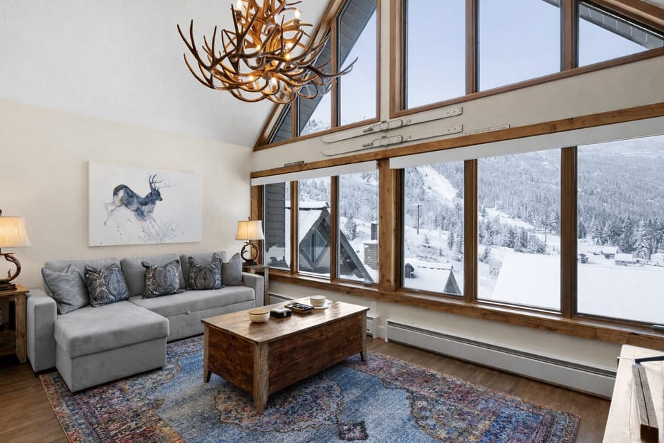 Living Area with Sleeper Sofa / Winter