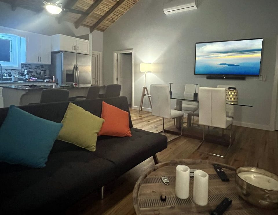 Accessible Big Screen running on StarLink!