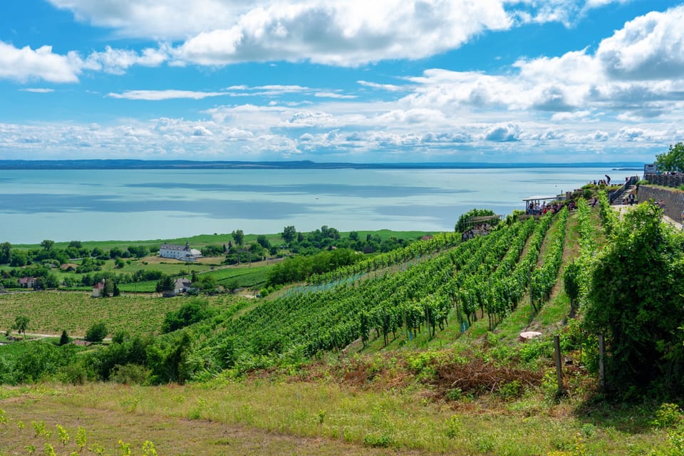 Hills and vineyards around Lake Balaton