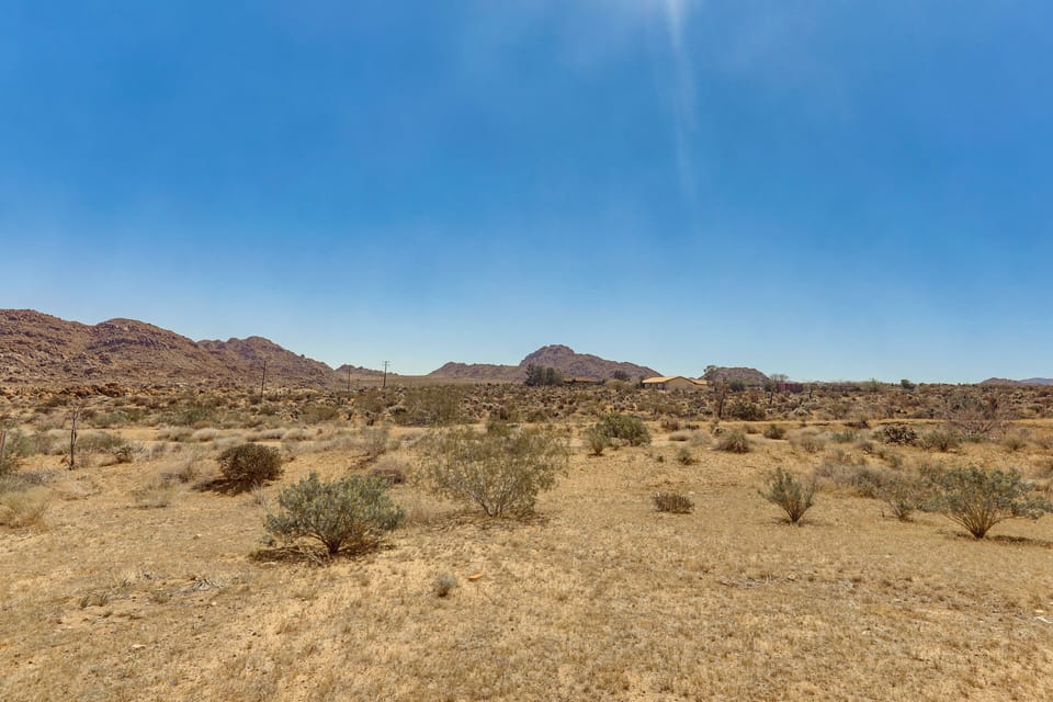 Property Views