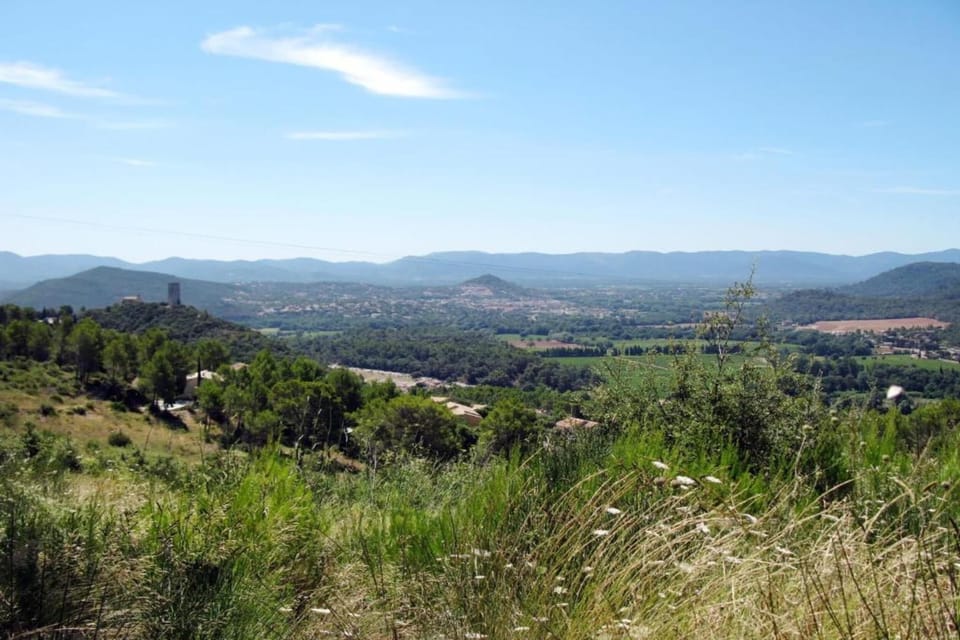 Region [summer] (>5 km)