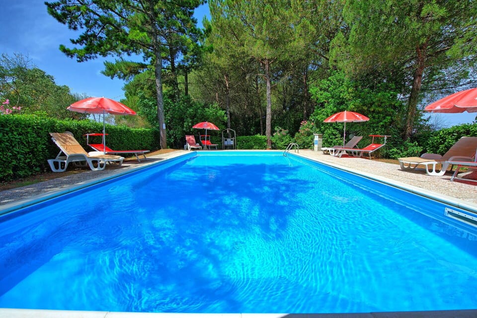 Garden, Outdoor, Pool