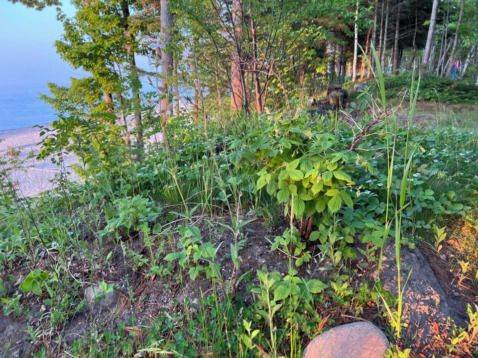 Amazing hiking from the back door!