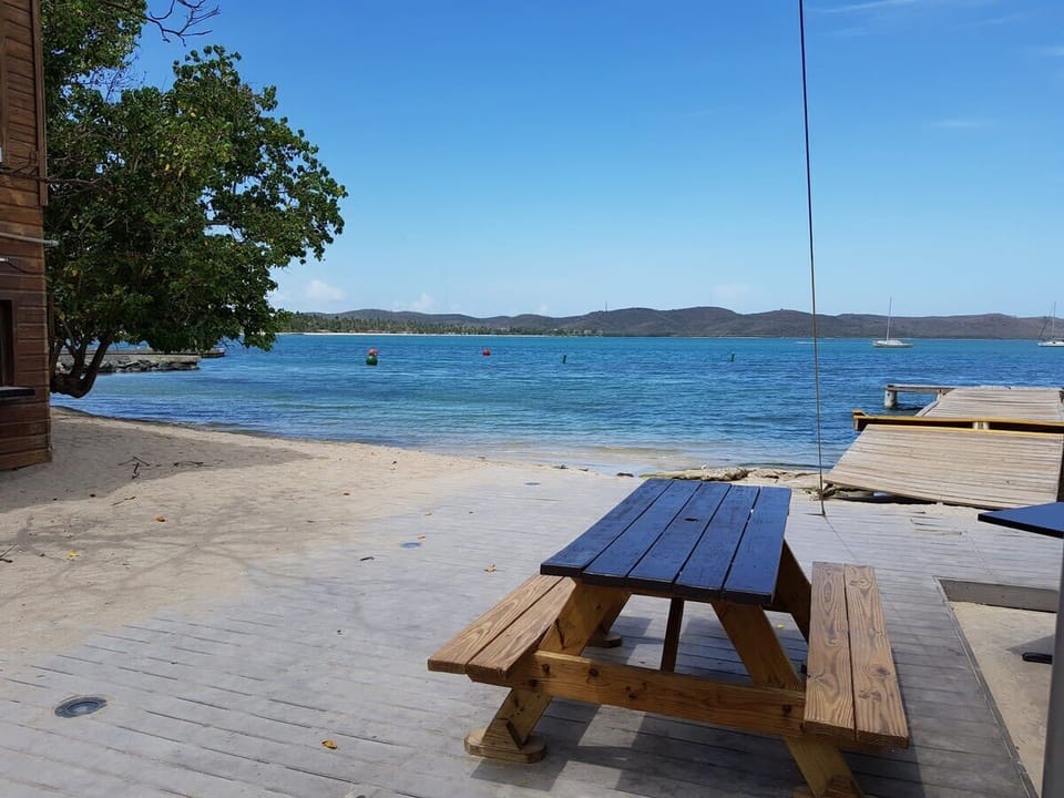 Picnic table at the water's edge