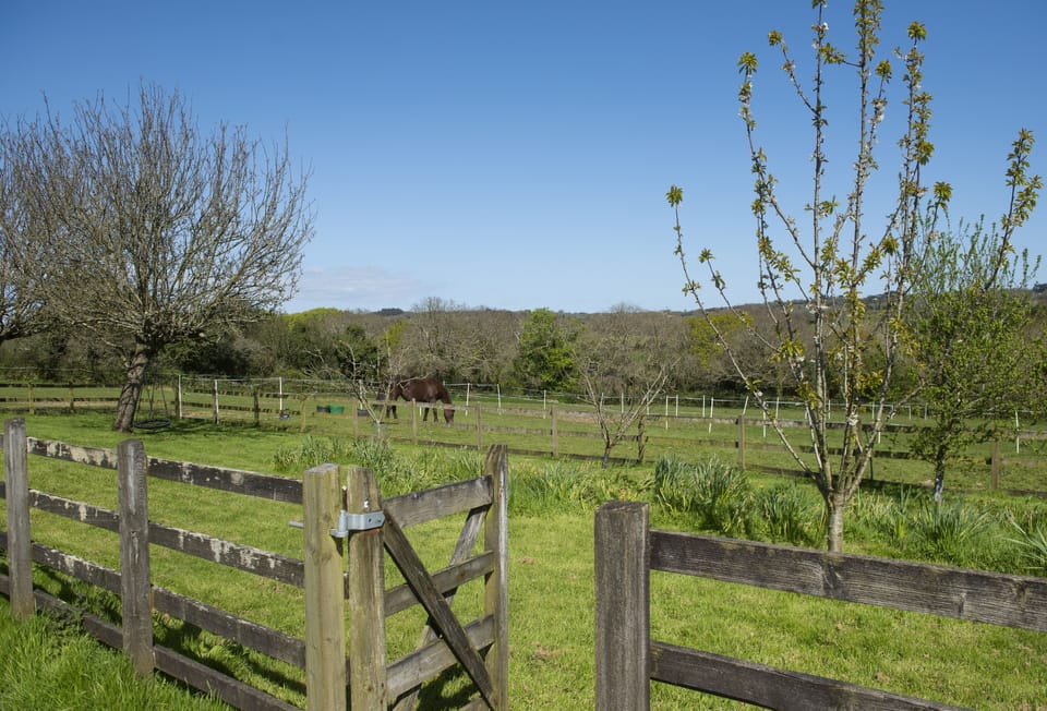 Roseland Cottage, Outside: With plenty of walks right on your doorstep