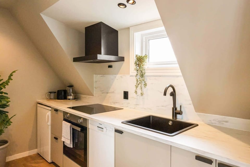 Compact yet functional kitchen with stylish dark extractor hood and all essentials