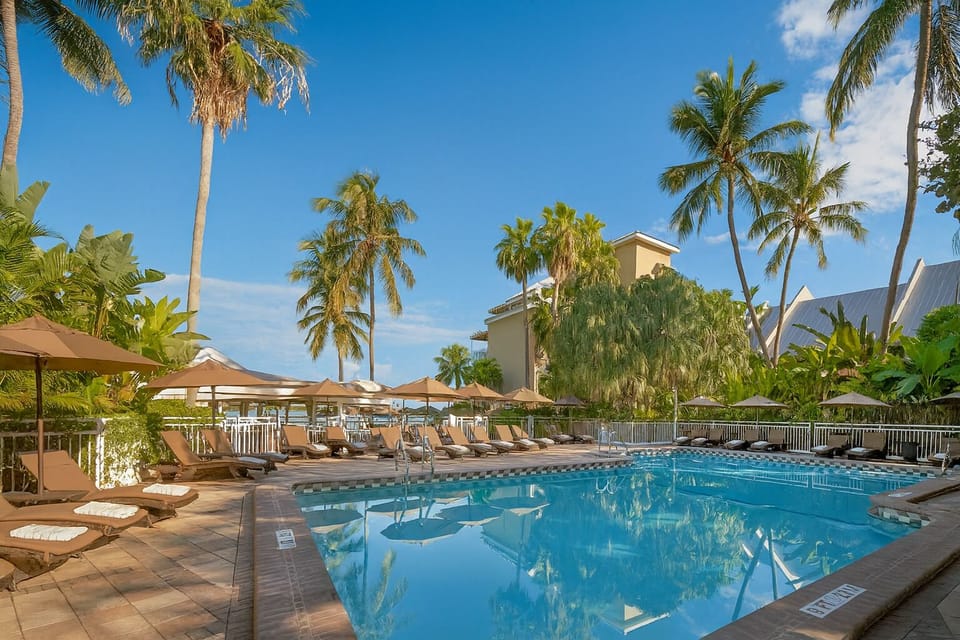 Dive into the sunlit pool surrounded by swaying palms.