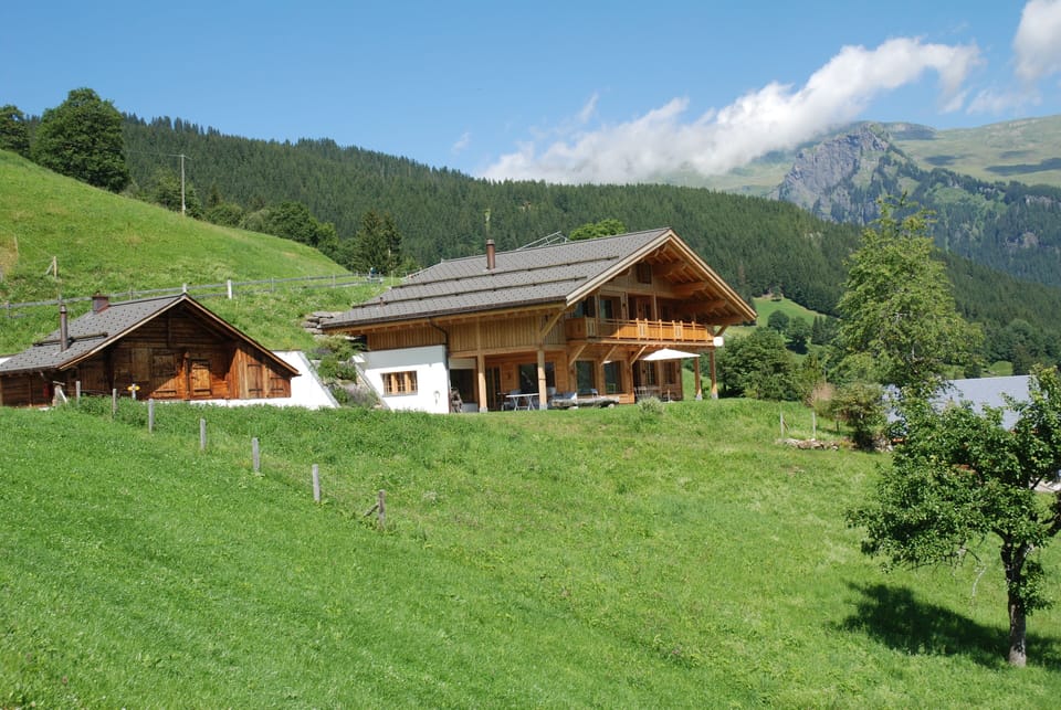 The house in spring
