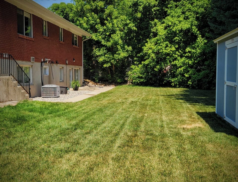 Shared backyard
