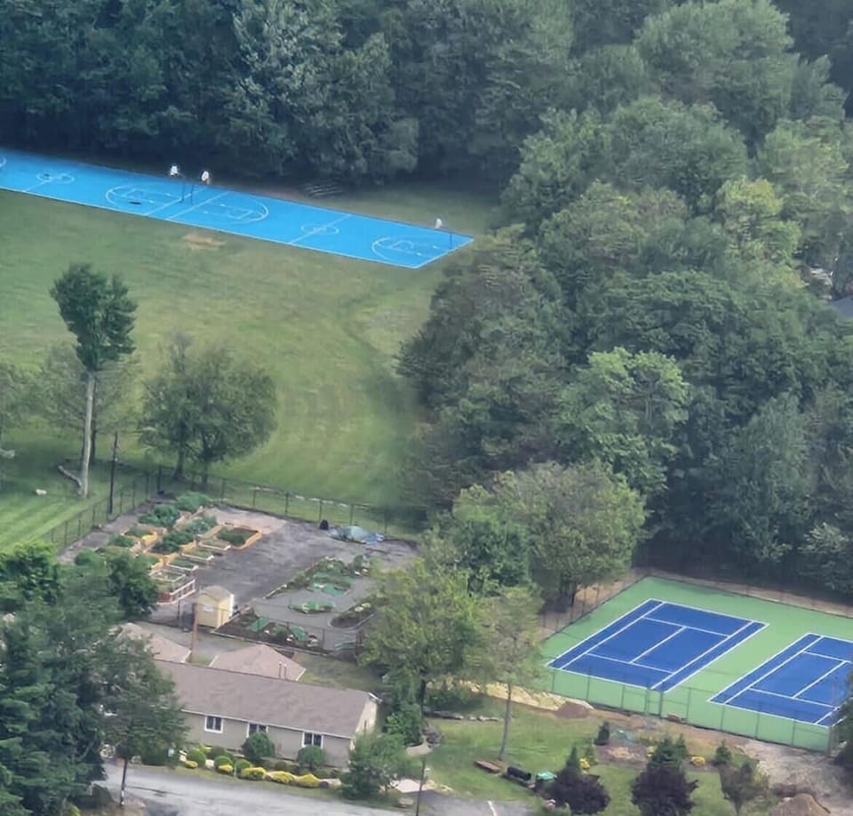Sport court