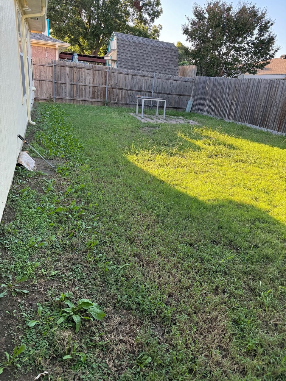 backyard