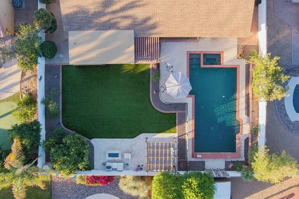 Our vibrant backyard.