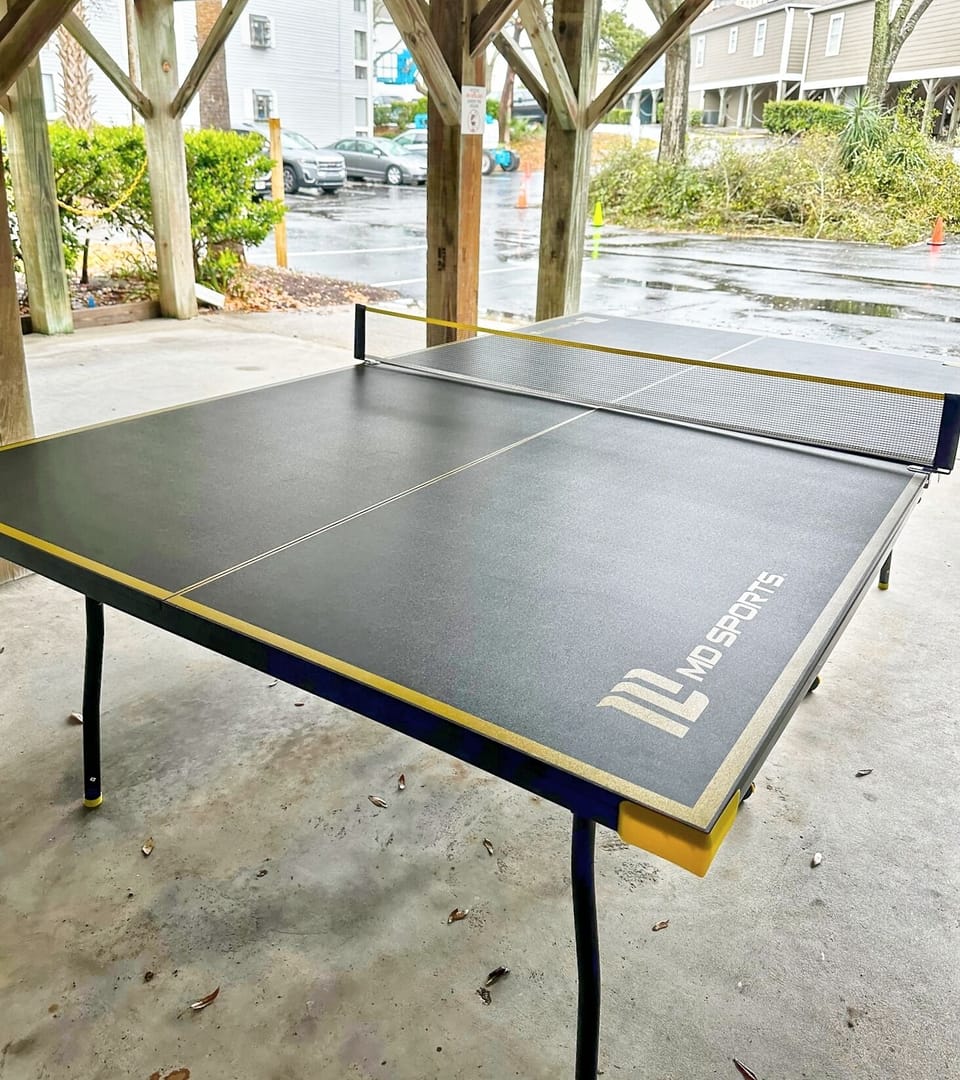 Arbor House 21 ping pong