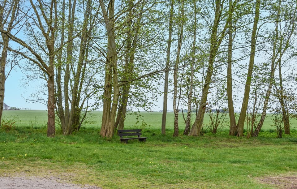 outside