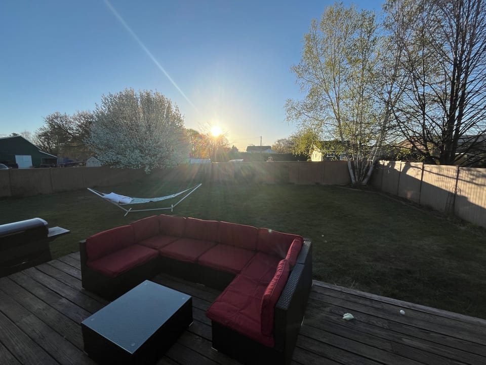 Fenced in back yard