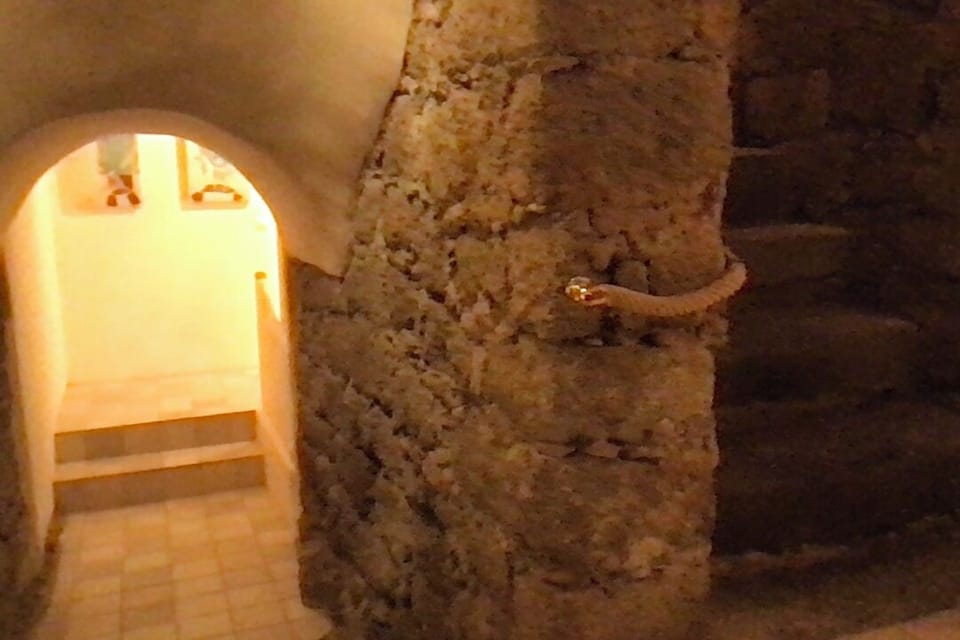 Interior detail