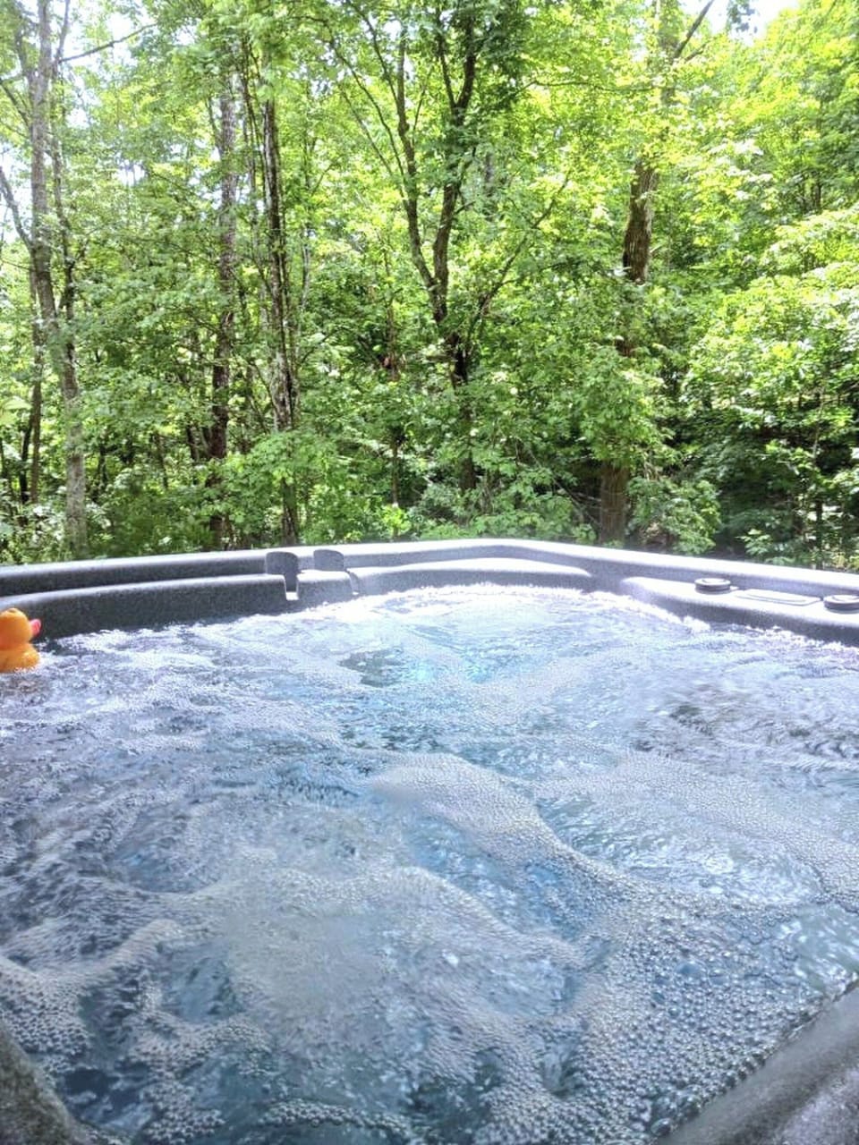 Lower-level deck: 5 person hot tub with lunge seat for full body soaking.