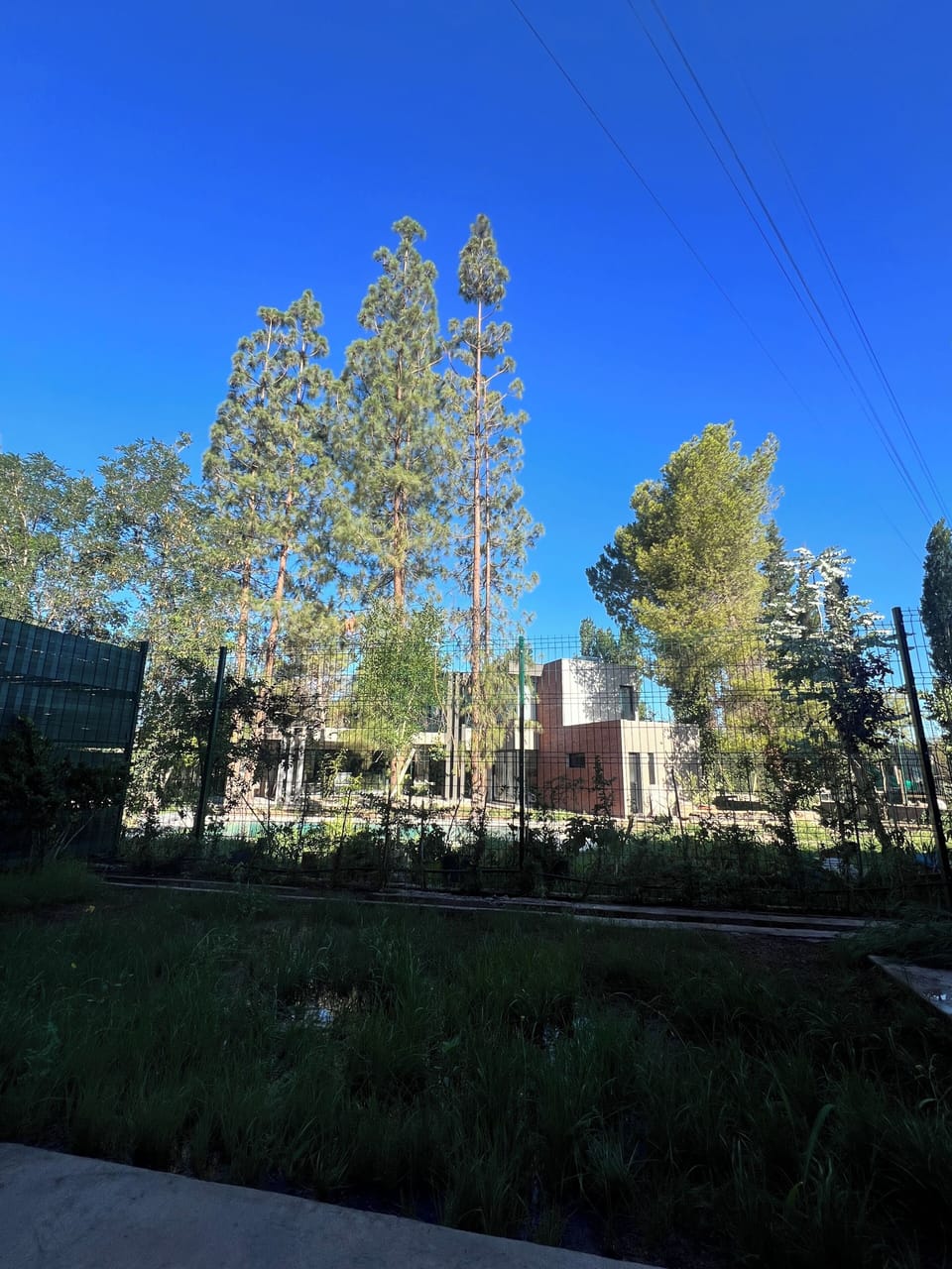Property grounds