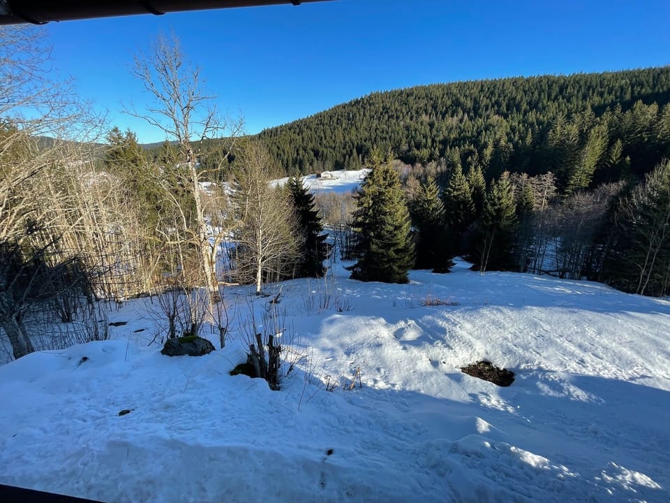 View from property