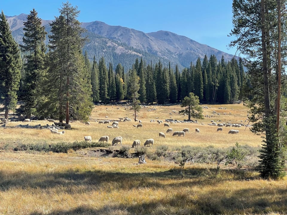 North towards Galena