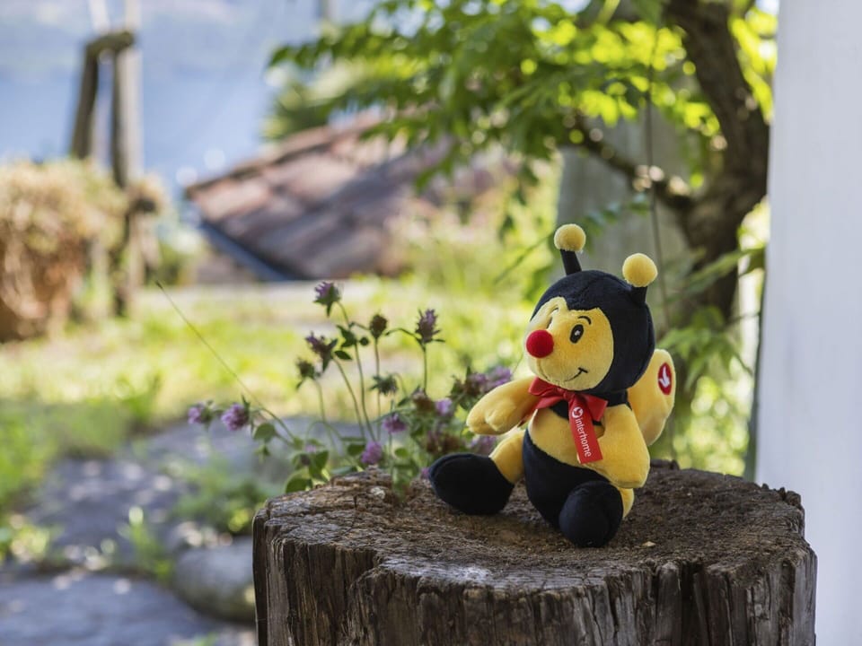 Plant, Wood, Branch, Grass, Fawn, Tree, Natural Landscape, Landscape