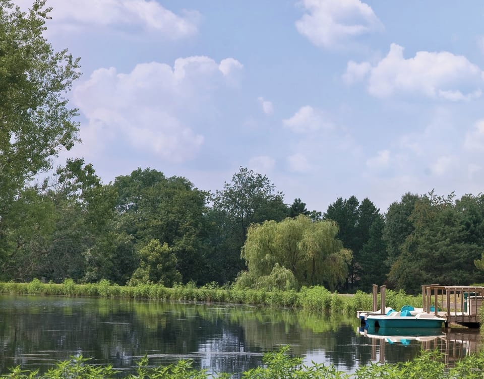 Miscellaneous