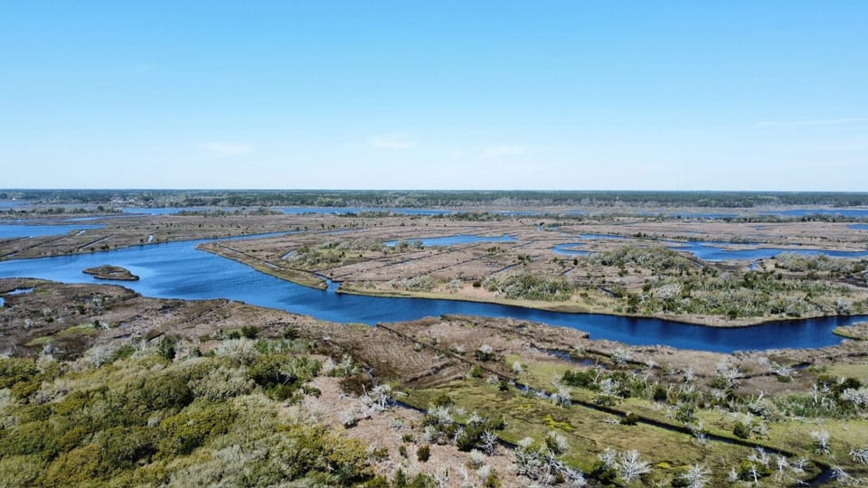 Marsh View