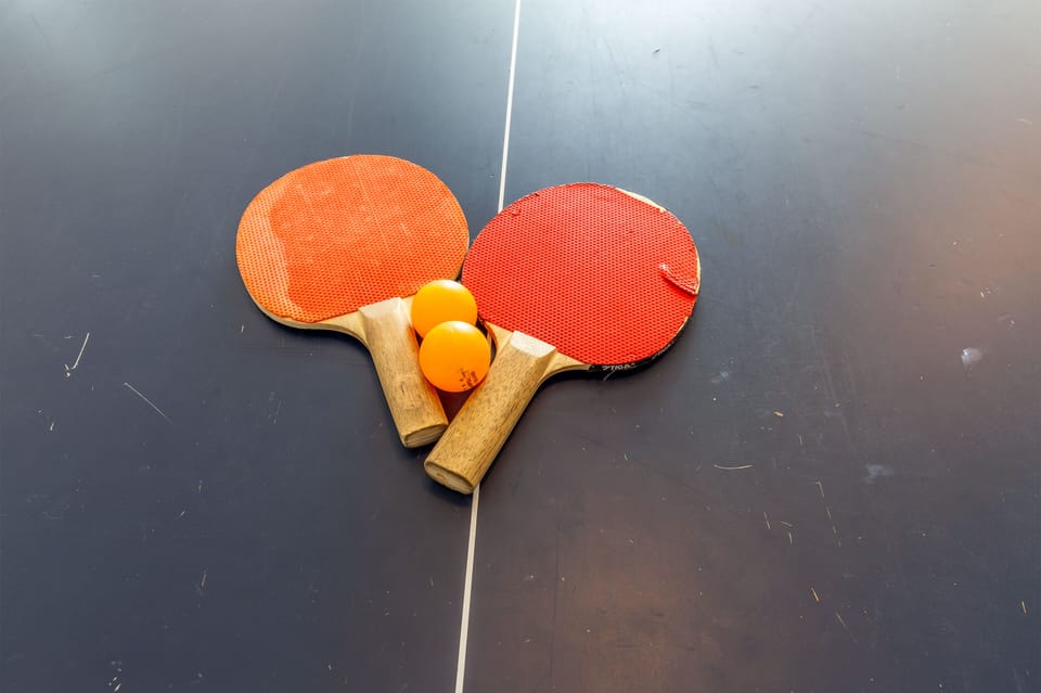 Ping Pong in Garage