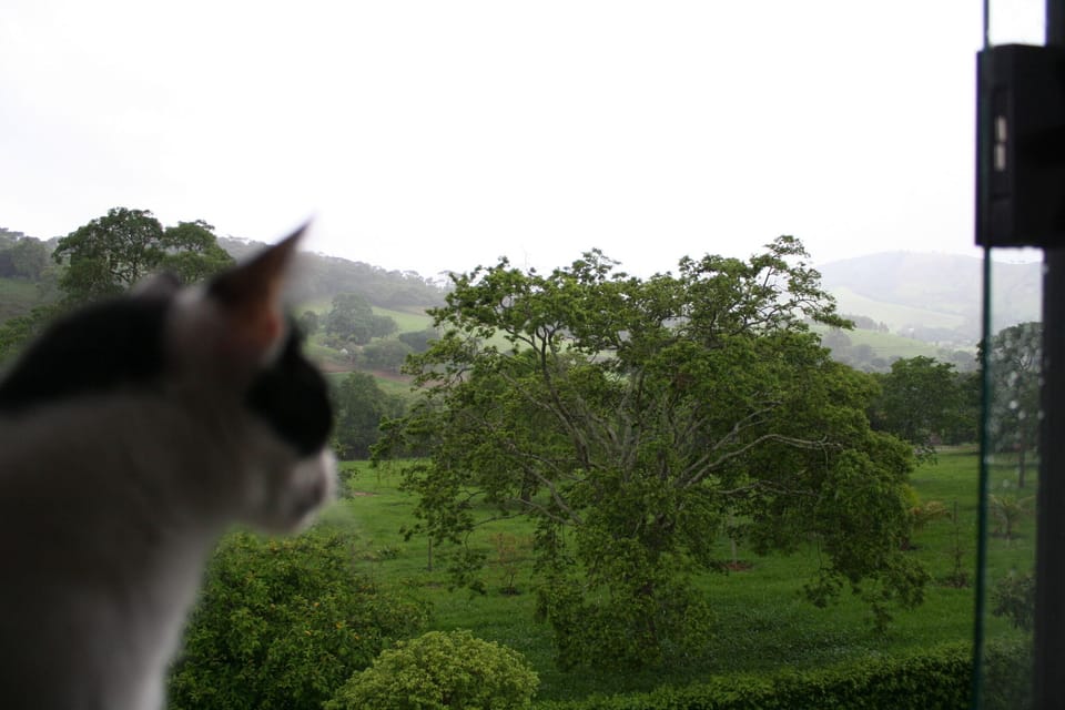 View from property