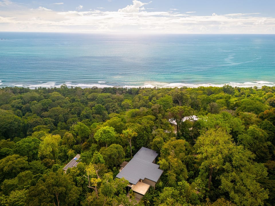 Elevated jungle setting with the Pacific Ocean visible beyond the treetops.