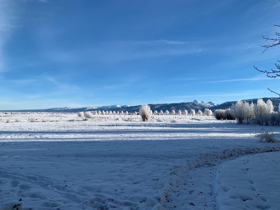 Property in winter