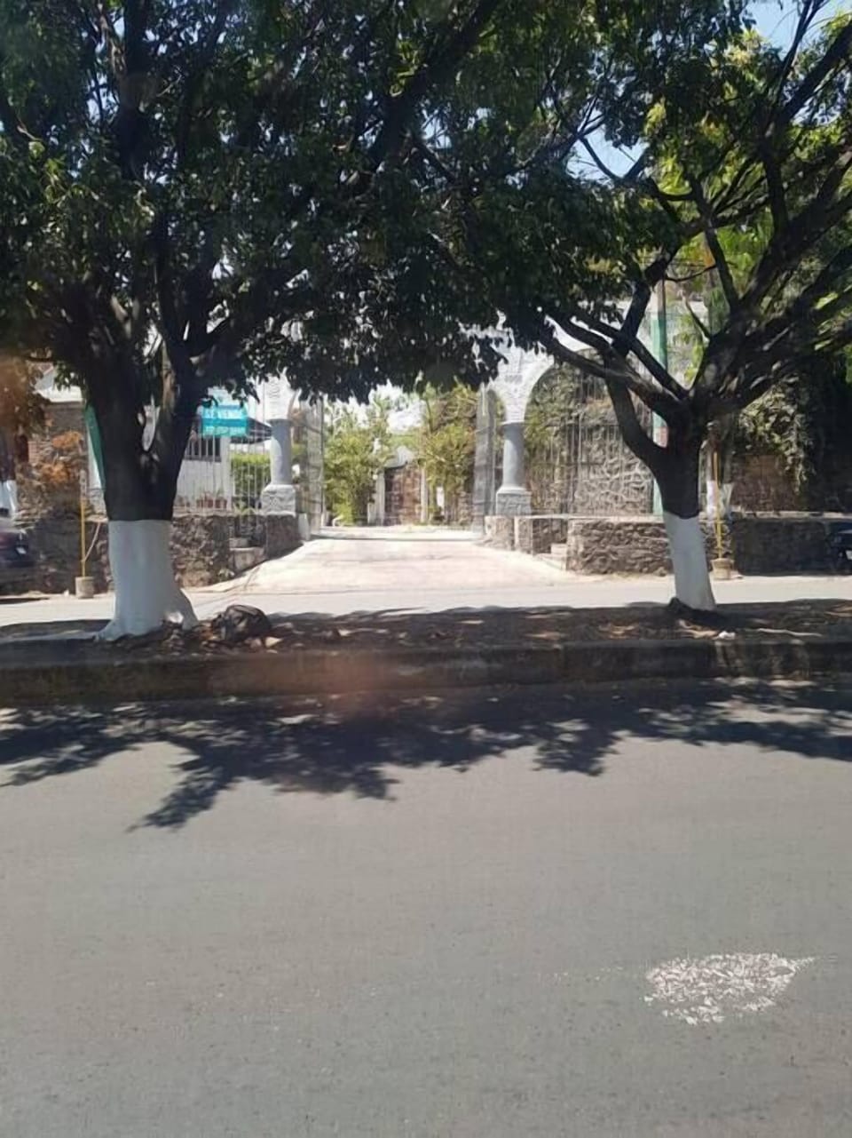 29ce2b97-9819-4275-b48f-de7429dd9d1f