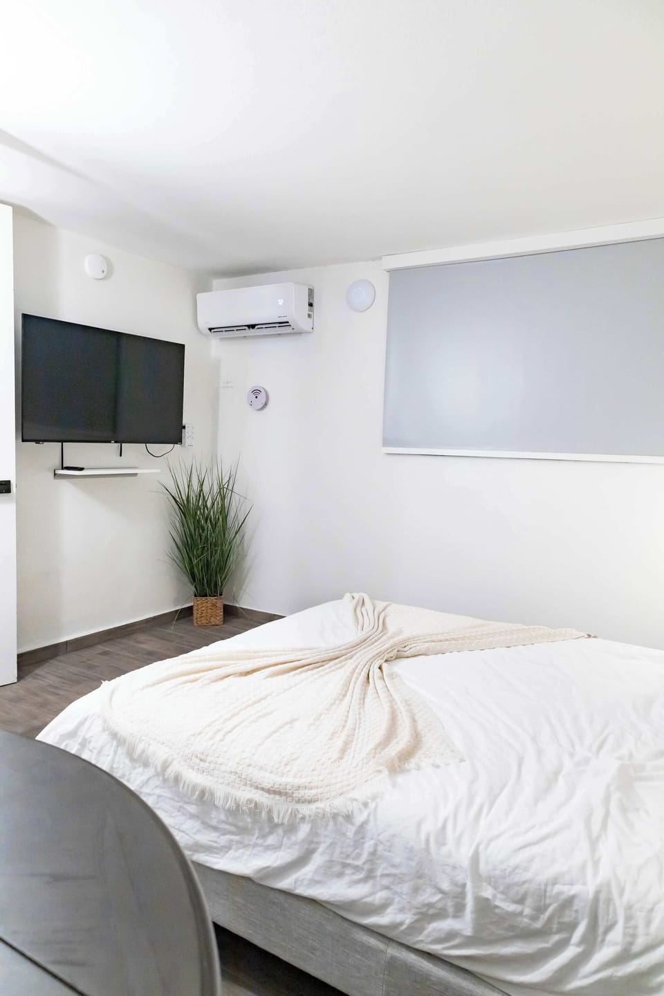 Queen bed and TV