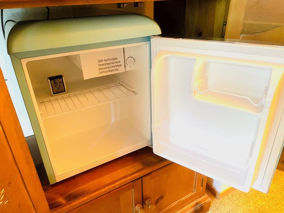 mini-fridge with tiny freezer. if you don't like the noise, you can leave it empty and unplugged