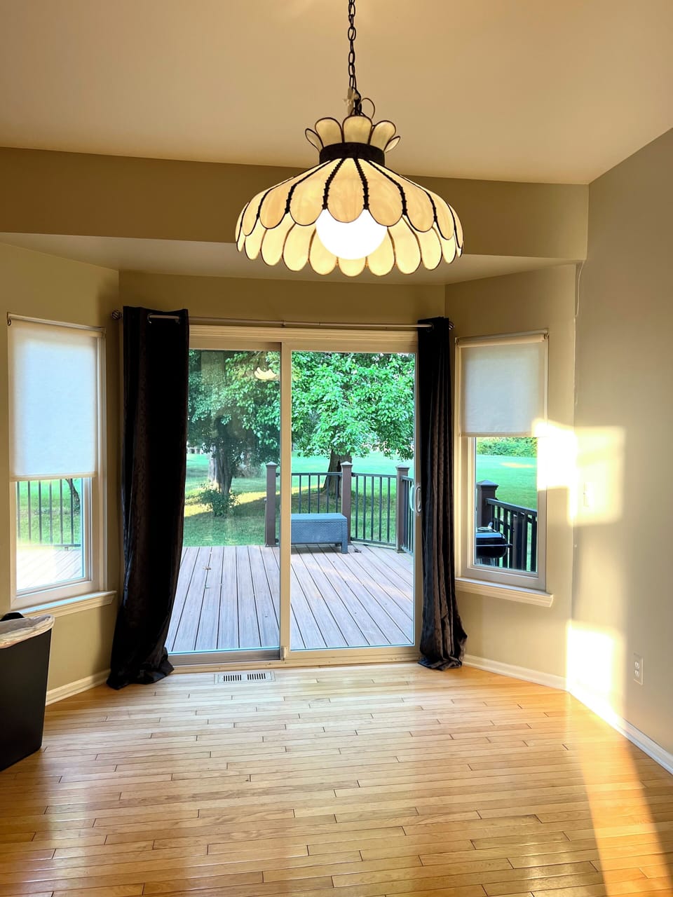Backyard view