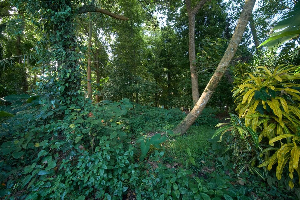 A view of the grounds