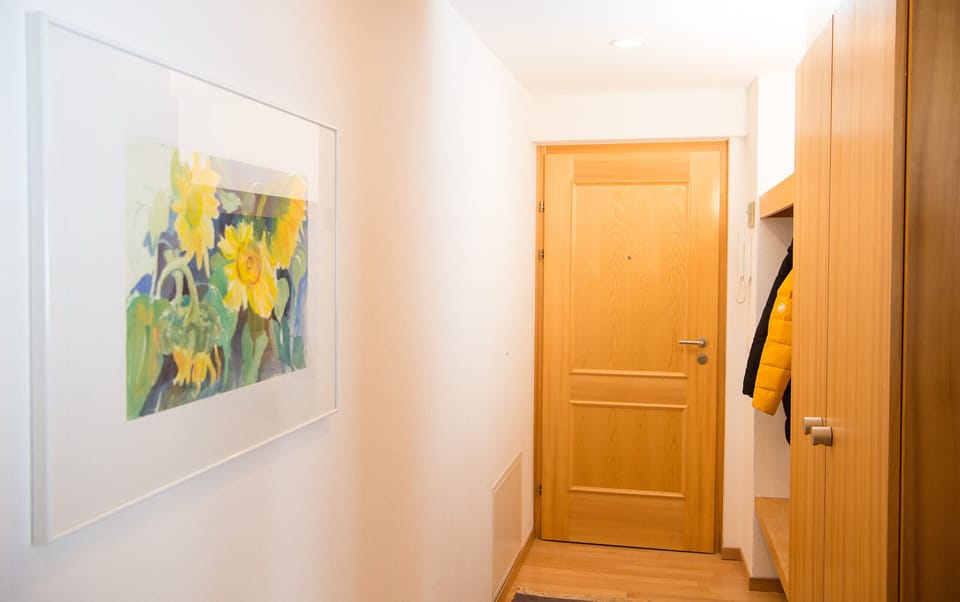 Entrance area apartment