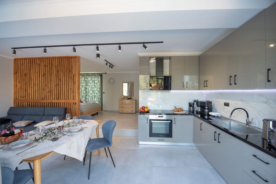 Independent apartment open plan fully equipped kitchen - dining - living area 