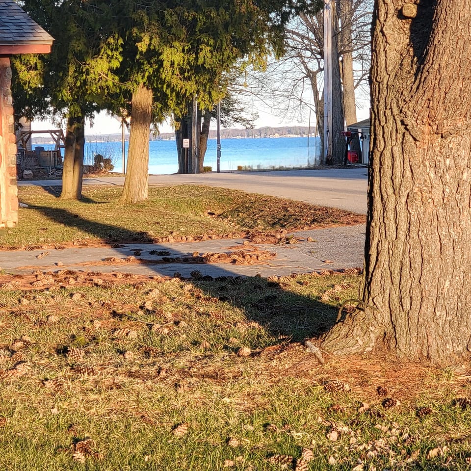 View from the front patio. The lake is steps away from the house. 