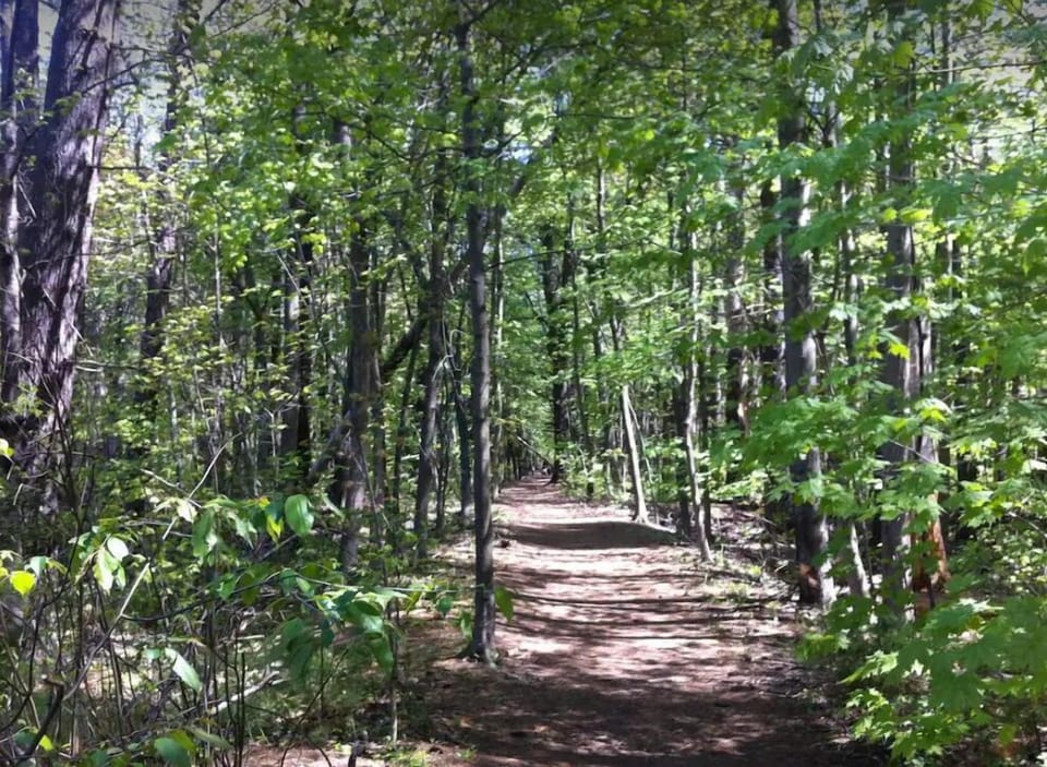 Trails to Saratoga State Park