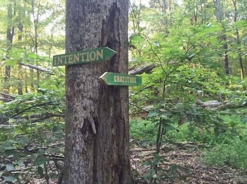 Many hiking trails start just behind the house and across the creek