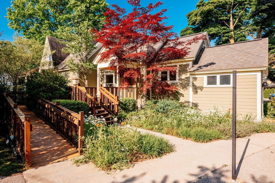 Bright and cheerful backyard view to enjoy nature’s beauty 🌿☀️