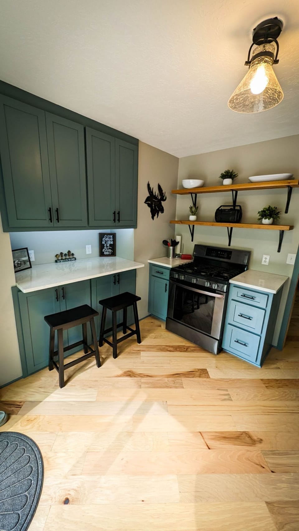 Fully Remodeled Kitchen, Spring 2024.