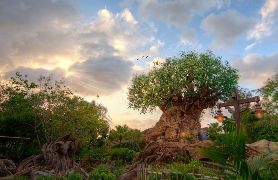 Disney's Animal Kingdom Theme Park